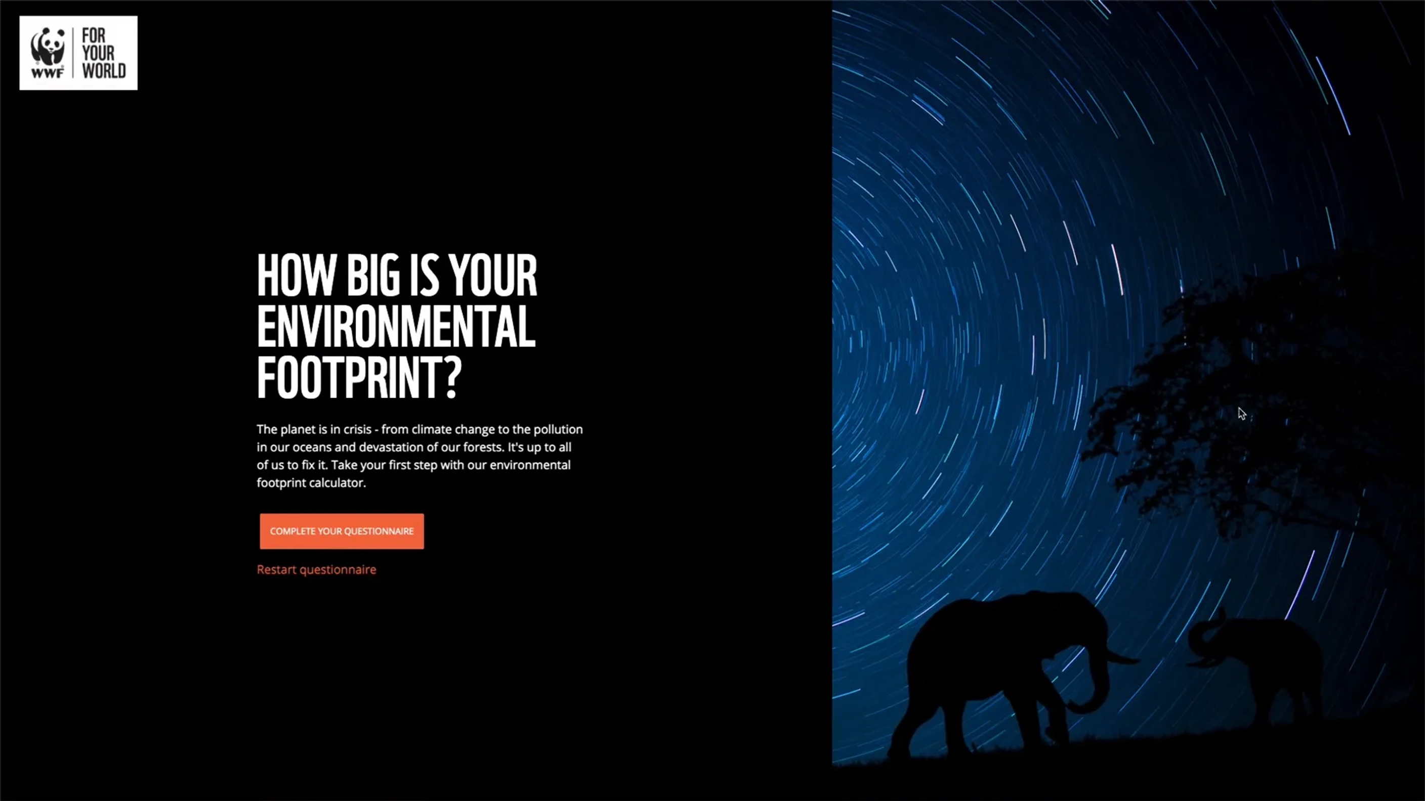 Web app screen.