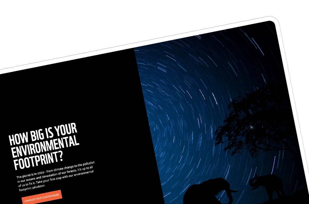 Preview of work image.